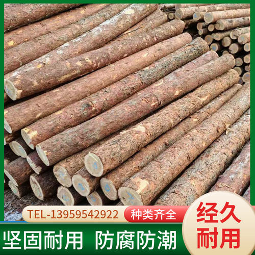 杉木打桩木河道防护木桩松木桩