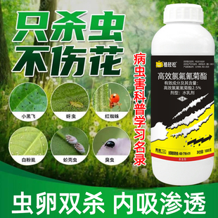 杀虫剂高效氯氰氟菊酯月季 月季 杀虫药花卉青虫蚜虫蜜虫害虫专用药