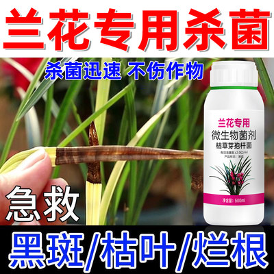 兰花黑斑病专用药治黄叶焦尖发黑烂根建兰墨兰系列兰花专用杀菌药