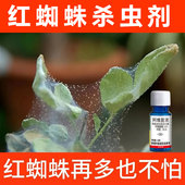 白蜘蛛杀虫剂螨虫红蜘蛛网月季 草莓柑橘桂花锈壁虱黄蜘蛛杀虫花药