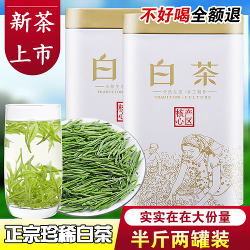 雨前高山绿茶特级茶叶罐装