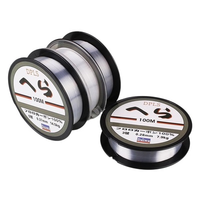 100m Fishing Line String Nylon Transparent Fish Carp
