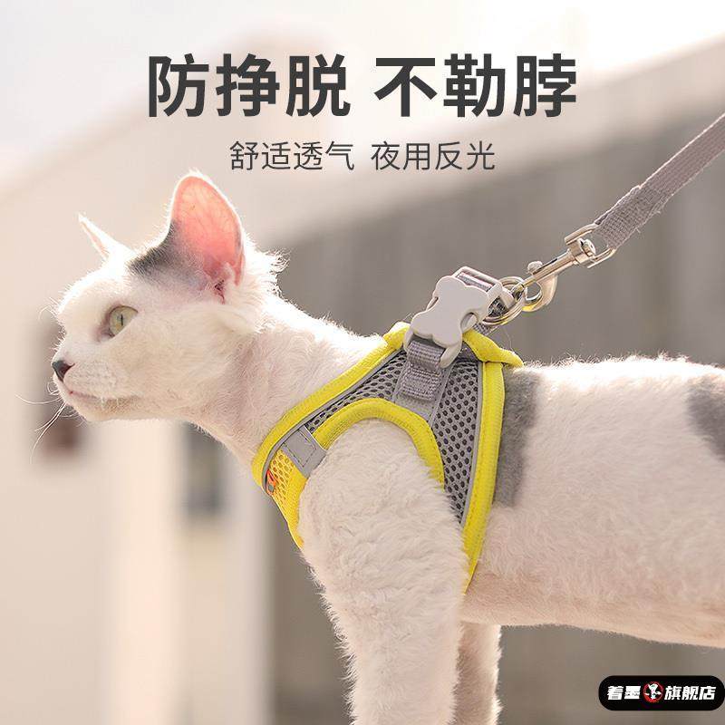 猫咪牵引绳背心式胸背带外出专用防挣脱猫绳子溜猫绳栓猫链子幼猫,宠物/宠物食品及用品,猫牵引绳,淘宝优惠券,粉丝福利购,淘宝优惠卷