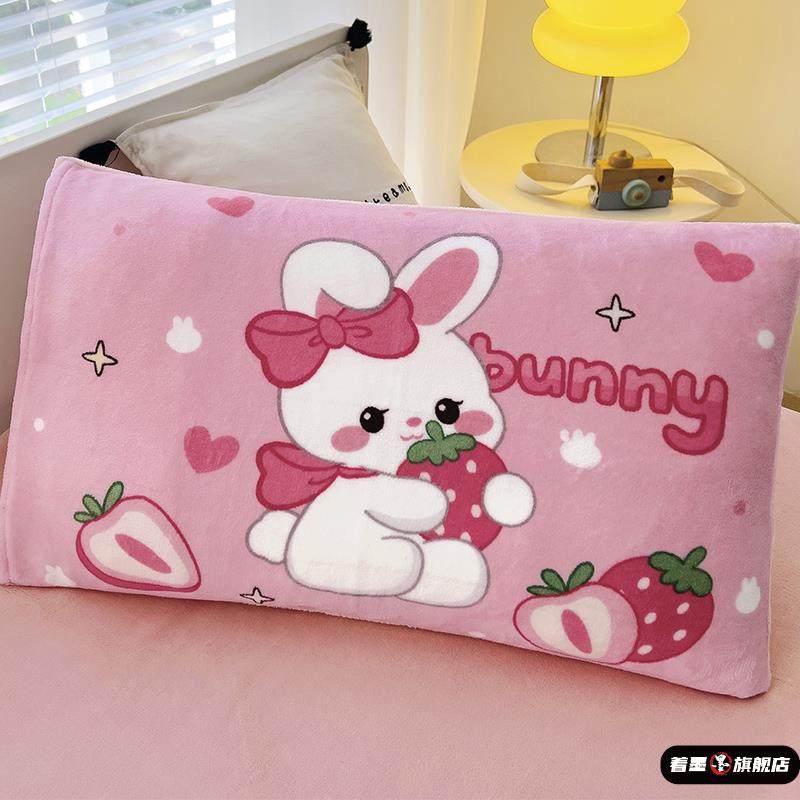 冬季儿童牛奶绒枕套30x50宝宝冬天小枕头套小号枕芯内胆套一对装.