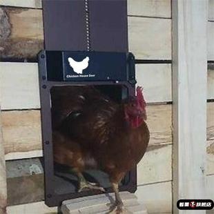 自动感应开关门鸡窝门光感宠物门家用智能鸡舍门鸡笼门鸽子屋门