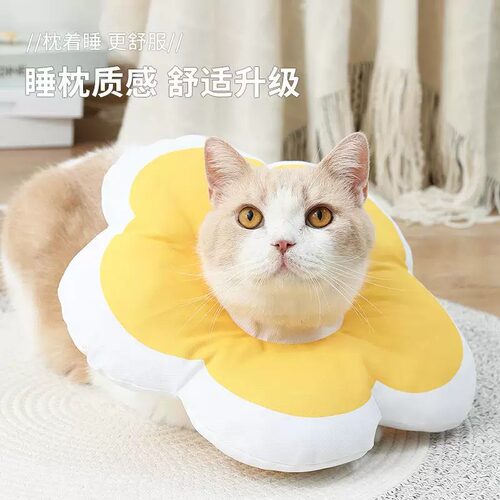 宠物用品伊丽莎白跨境猫咪围脖圈