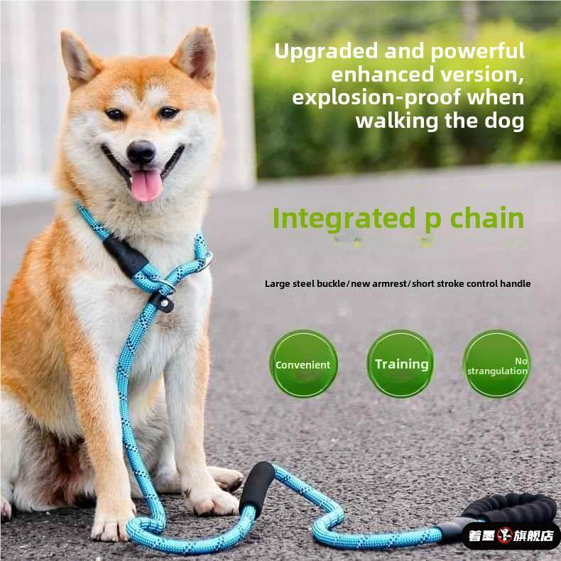 遛狗牵引绳大型犬狗狗中型狗链子金毛绳拉布拉多防爆冲可调节p链,宠物/宠物食品及用品,猫牵引绳,淘宝优惠券,粉丝福利购,淘宝优惠卷