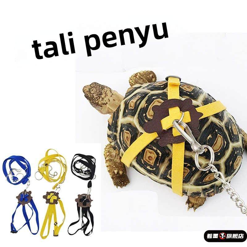 遛龟绳超小体乌龟牵引绳溜龟背心式外出绳草龟陆龟巴西龟溜龟神器,宠物/宠物食品及用品,猫牵引绳,淘宝优惠券,粉丝福利购,淘宝优惠卷