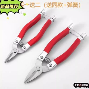 广东罗定牌不锈钢采果剪刀摘果剪刀沙糖柑桔剪蔬果剪果子剪修枝剪