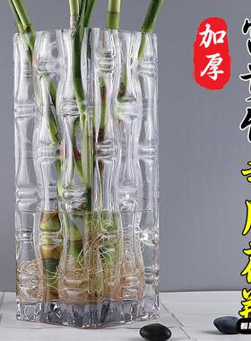 特大号落地富贵竹花瓶方形玻璃透明插花大号客厅摆件水培家用装饰