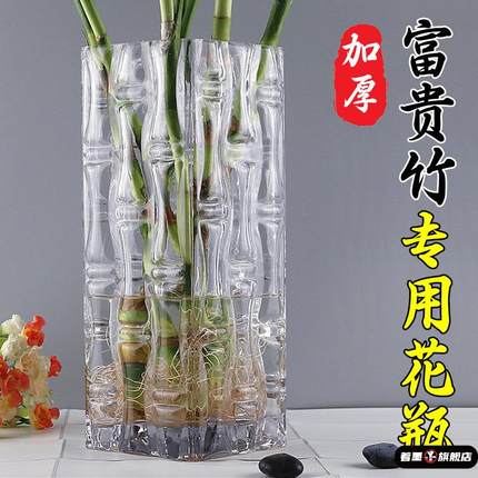 特大号落地富贵竹花瓶方形玻璃透明插花大号客厅摆件水培家用装饰