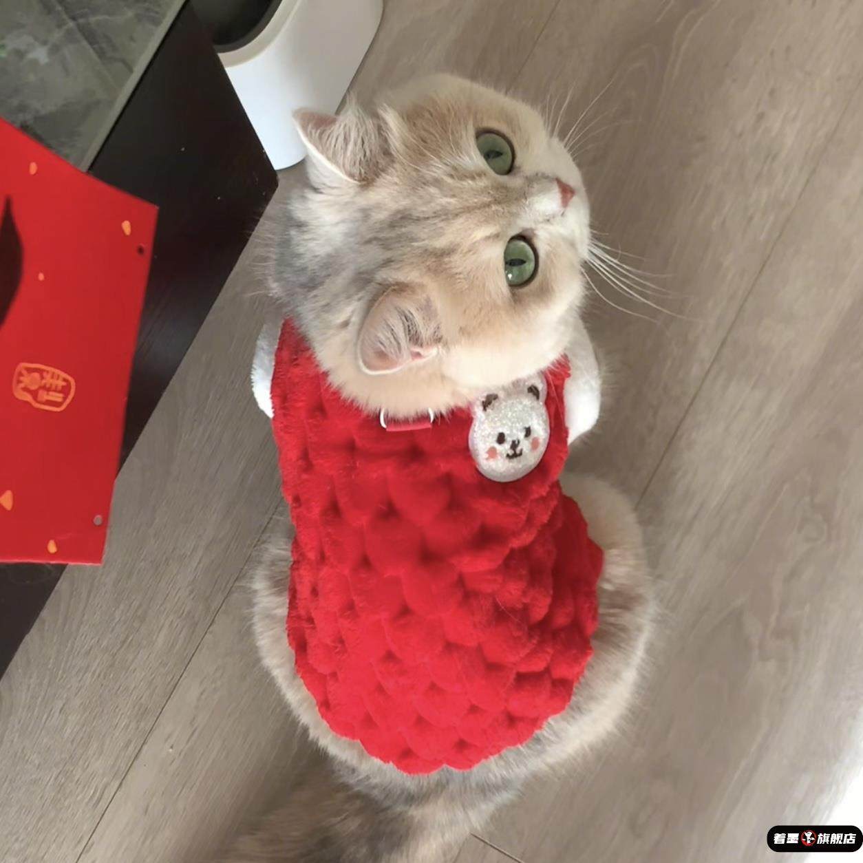猫咪新年红色衣服小狗狗秋冬季保暖过年喜庆背心宠物拜年舞狮战袍