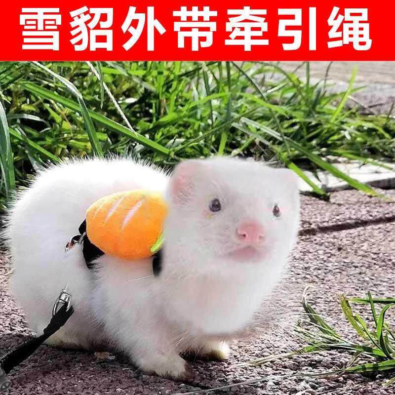 雪貂牵引绳兔子兔兔绳子链子防挣脱溜兔绳伸缩可调节遛兔绳用品