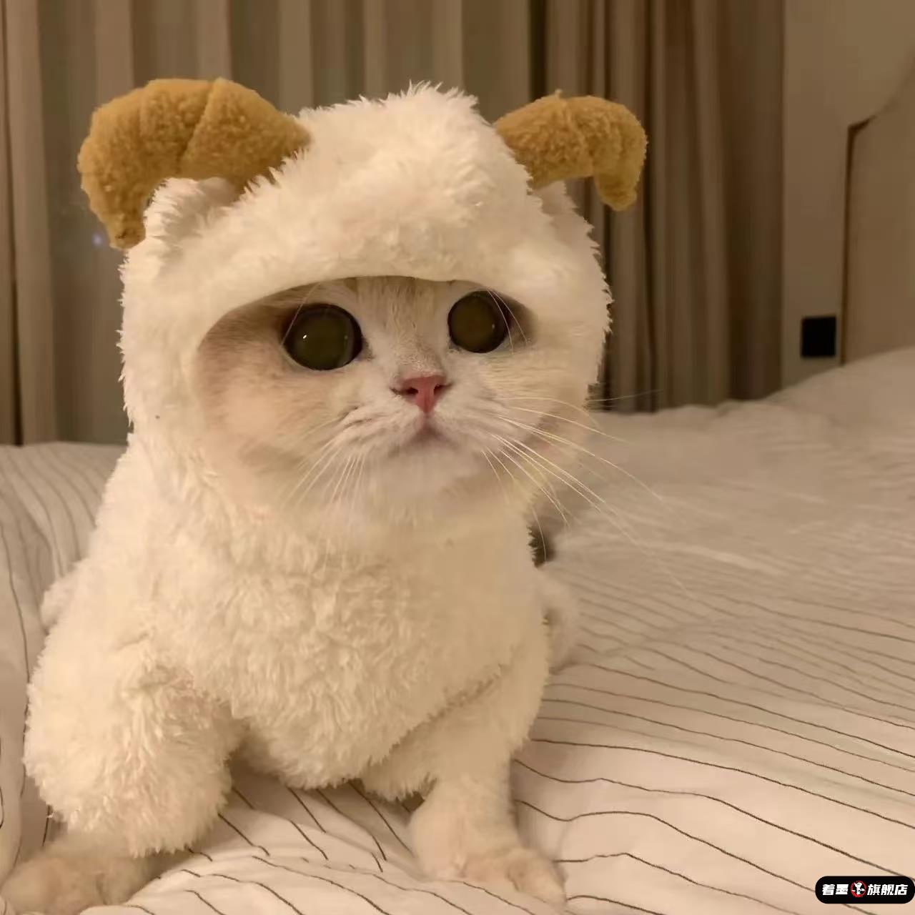 狗狗衣服小型犬冬装猫咪加厚唐装泰迪四脚衣