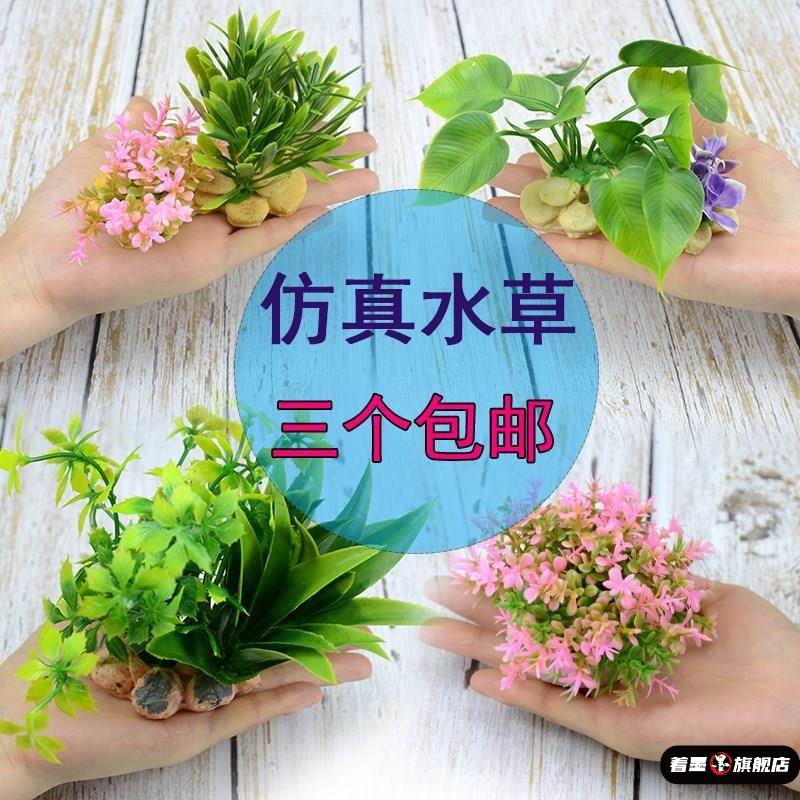 鱼缸造景水草泥生态塑料花草仿真装饰圆形种植小型假花海藻