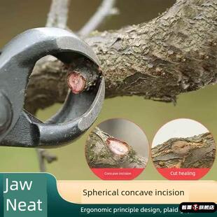 盆景专用球形剪工具园林加重大号球节剪钳子修剪造型马眼球钳枝剪