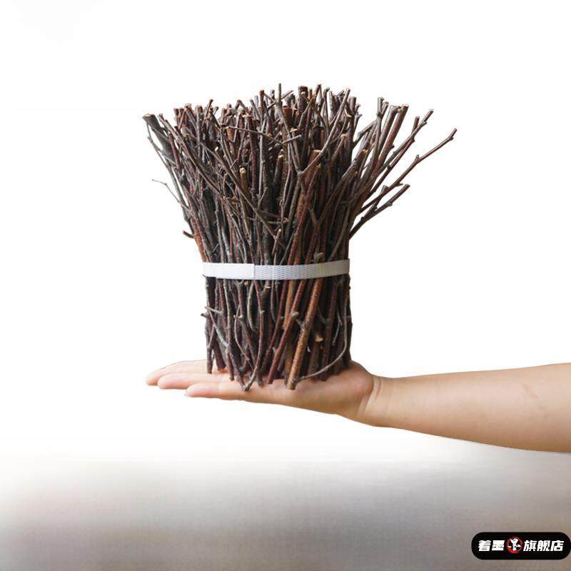 著墨天然材料diy幼儿园手工树枝