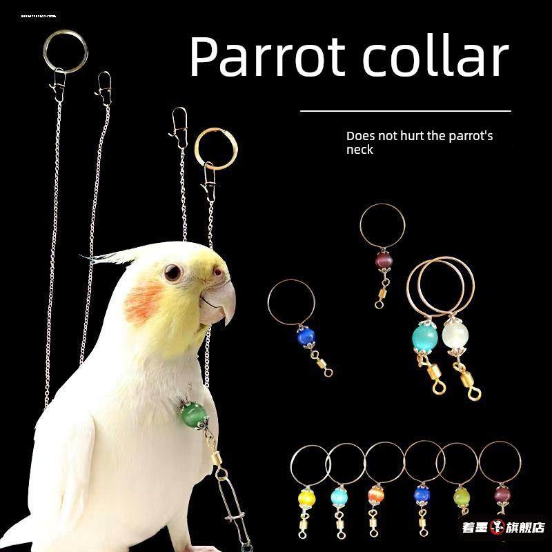 鹦鹉放飞绳牵引绳脖套不锈钢玄凤牡丹虎皮八哥脚链链栓鸟遛鸟训练,宠物/宠物食品及用品,鸟禽其他,淘宝优惠券,粉丝福利购,淘宝优惠卷