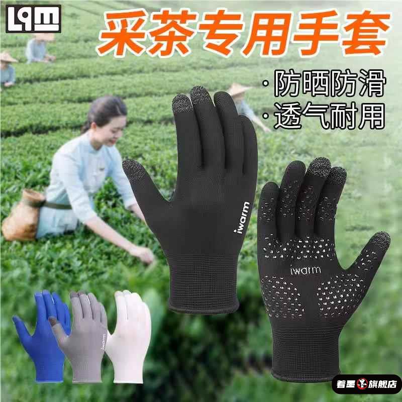 采茶专用防晒手套秋全指摘茶叶工作干活薄款