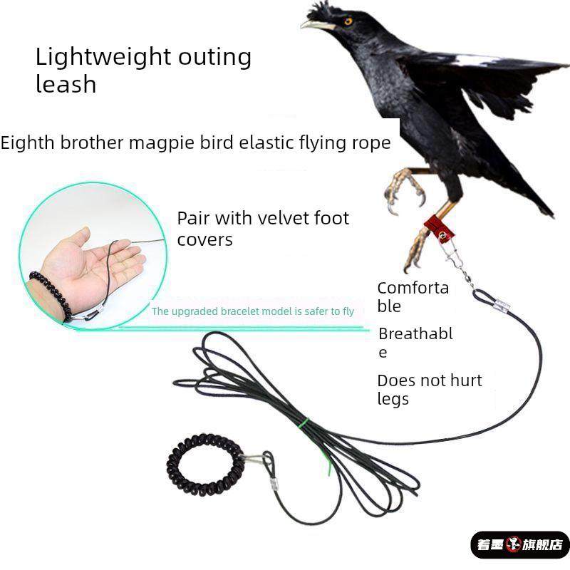 鸟用轻便放飞绳家养八哥鹩哥白颈乌鸦外出牵引遛鸟绳不伤脚绒皮套,宠物/宠物食品及用品,鸟用放飞绳,淘宝优惠券,粉丝福利购,淘宝优惠卷
