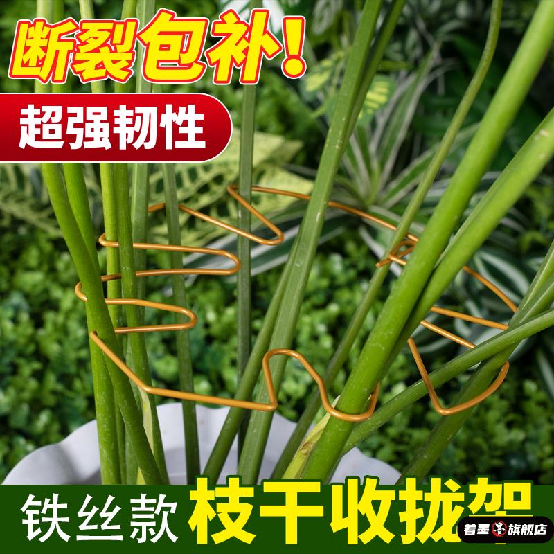 水培植物固定器支架龟背竹支撑杆羽绿防倒伏