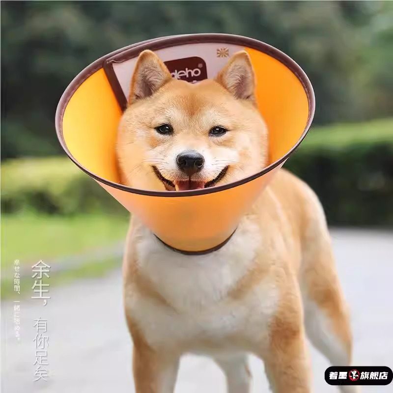 伊丽莎白圈大型犬金毛头罩狗狗头套宠物防咬舔耻辱圈猫咪项圈围脖