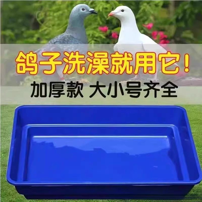 鸽子洗澡专用盆大号浴盆信鸽赛鸽用品用具鸽具鸟类鹦鹉文鸟用品,宠物/宠物食品及用品,鸟用洗澡盒/器,淘宝优惠券,粉丝福利购,淘宝优惠卷