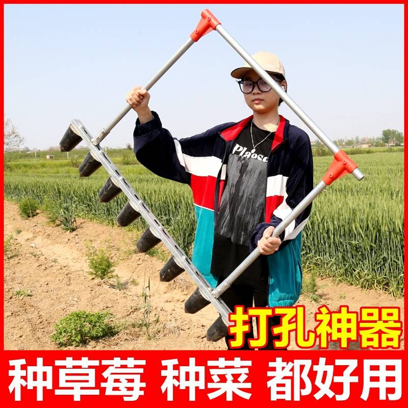 草莓种植打孔神器农用工具栽苗器打孔种植撒饵器大棚栽草莓打洞器