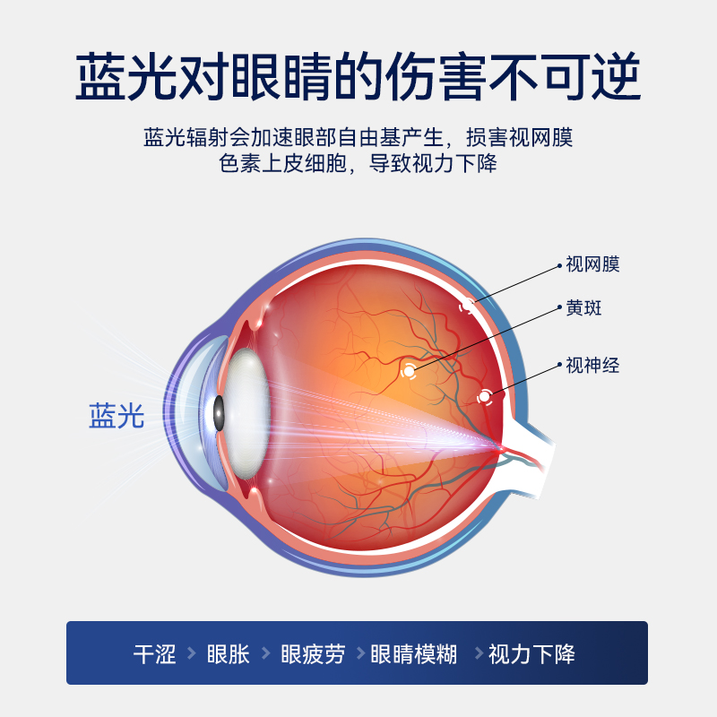 VEL挪威进口越橘蓝莓花青素护眼片眼干涩眼疲劳
