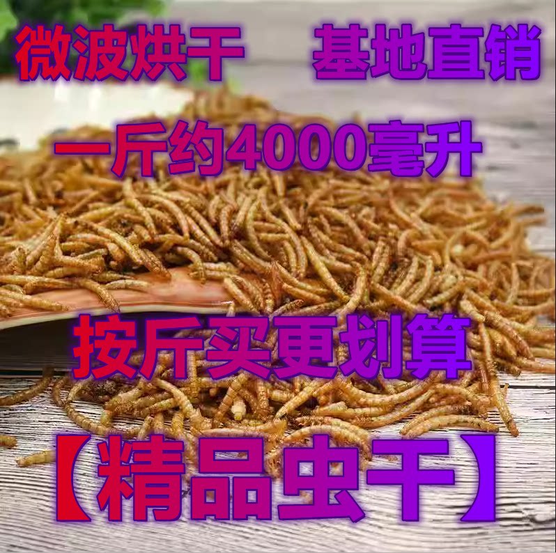 面包虫干黄粉虫干微波工艺宠物粮爬虫/鸣虫食物