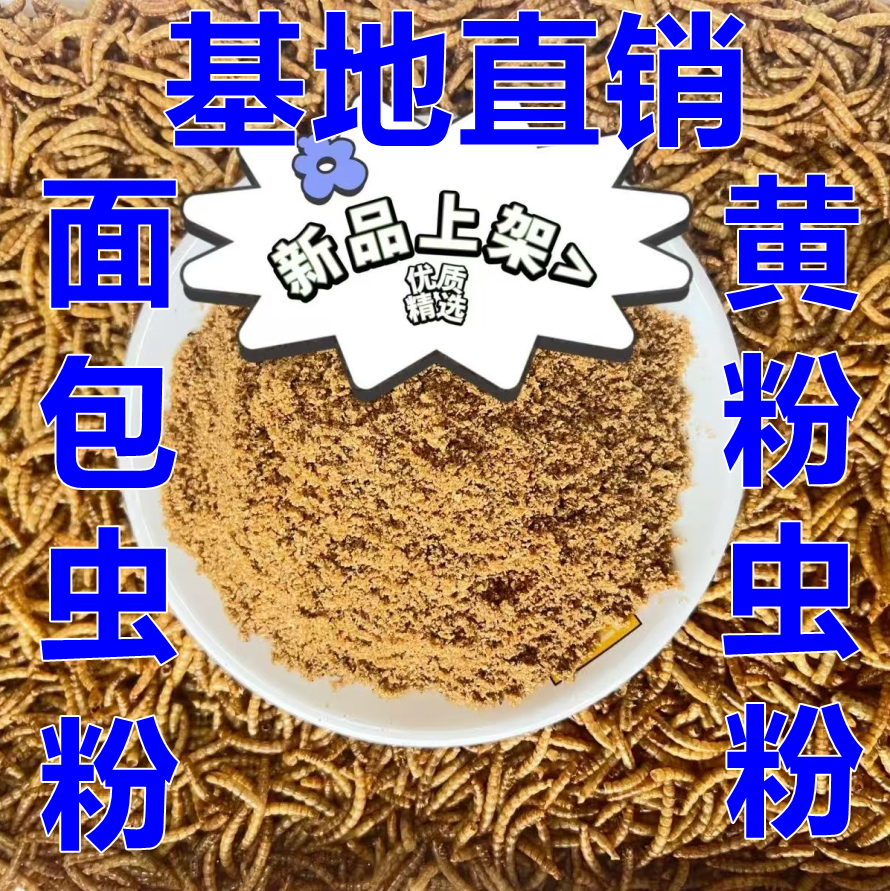 烘干面包虫粉黄粉虫干仓鼠八哥龟画眉爬行类爱宠饲料零食批发包邮,宠物/宠物食品及用品,爬虫/鸣虫食物,淘宝优惠券,粉丝福利购,淘宝优惠卷