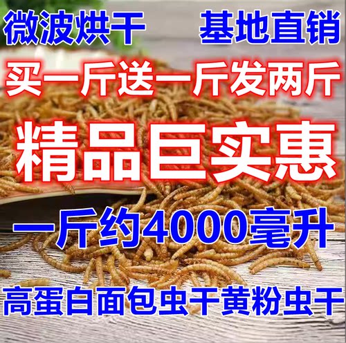 面包虫干黄粉虫微波工艺宠物粮食