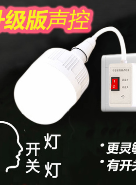 智能语音开关灯卧室AI说话感应灯插电式声控灯头无线控制床头灯