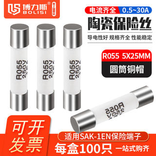 R055保险丝管5*25陶瓷保险管熔断器250V 0.5A 1A 2A 3A 4A 5A 10A