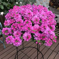 Beauty Sakura 500 капсул + удобрение (при покупке 2 получи 1 в подарок)