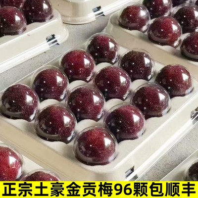 现货正宗仙居贡梅96颗礼盒装