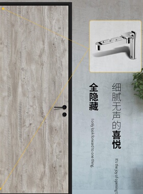 极速Home hidden invisible door homes Tiandi R-shaft Phinge u