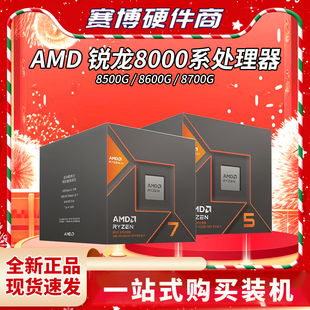 AMD锐龙8000G系R5 8700G核显处理器CPU 8500G 全新 8600G 新品