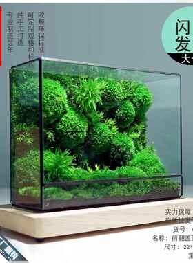 微景观几何玻璃花房苔藓墙玻璃缸桌面生态瓶造景植物微缩森林景观