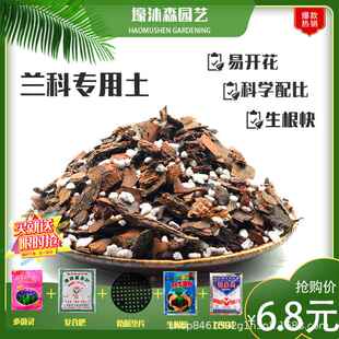 兰花专用土蝴蝶君子兰墨兰透气泥土松树皮植金石头家用植料营养土