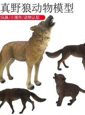 跨境儿童仿真森林动物野狼模型 草原狼群咆哮狼静态摆件套装玩具