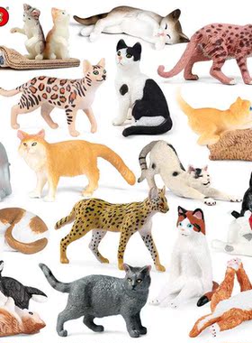 跨境认知玩具仿真猫科动物模型短毛猫黑白小猫波斯猫布偶猫咪摆件