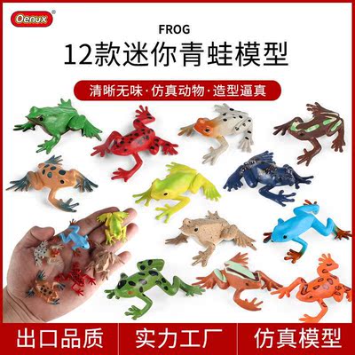 跨境儿童认知仿真迷你两栖动物模型青蛙玩具蝌蚪田鸡牛蛙蛤蟆套装