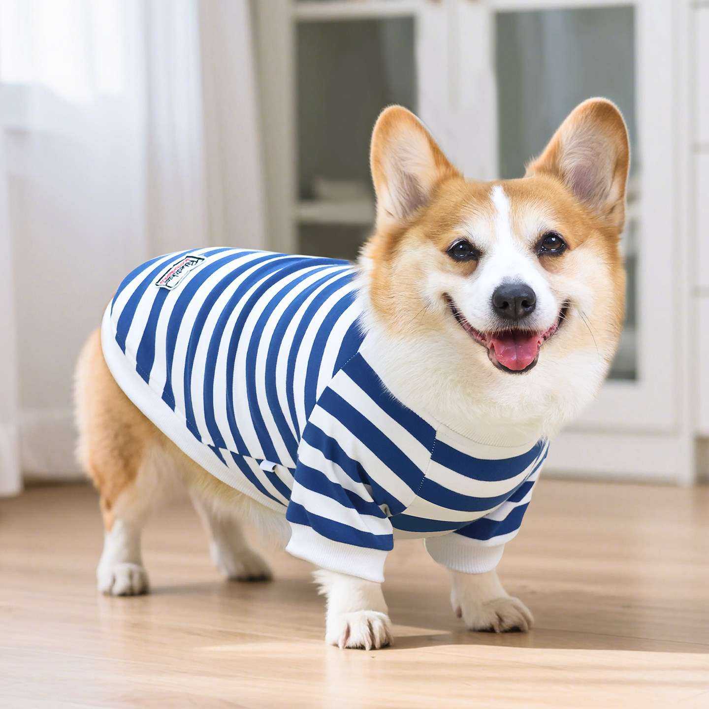 宠物狗狗春秋薄款背心衣服柴犬犬