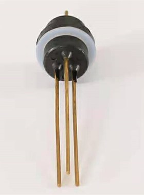 上海申安LDZF-30KB高压蒸汽灭菌器消毒锅配件水位器水位探针