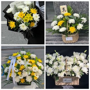 毕节市赫章县纳雍县威宁县菊花鲜花同城配送清明上坟扫墓祭奠悼念
