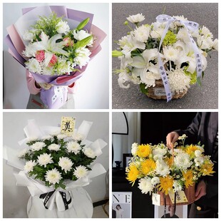 上海普陀区万里街曹杨新村菊花鲜花同城配送清明上坟扫墓祭奠悼念