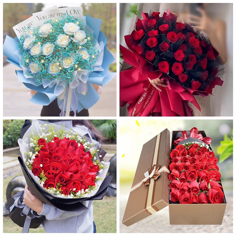 北京海淀区清华园燕园香山生日碎