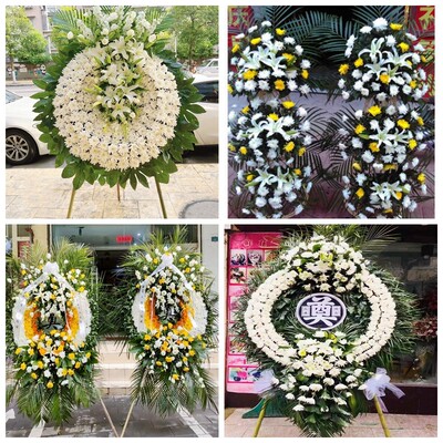 望谟县兴仁市普安县安龙县花圈白