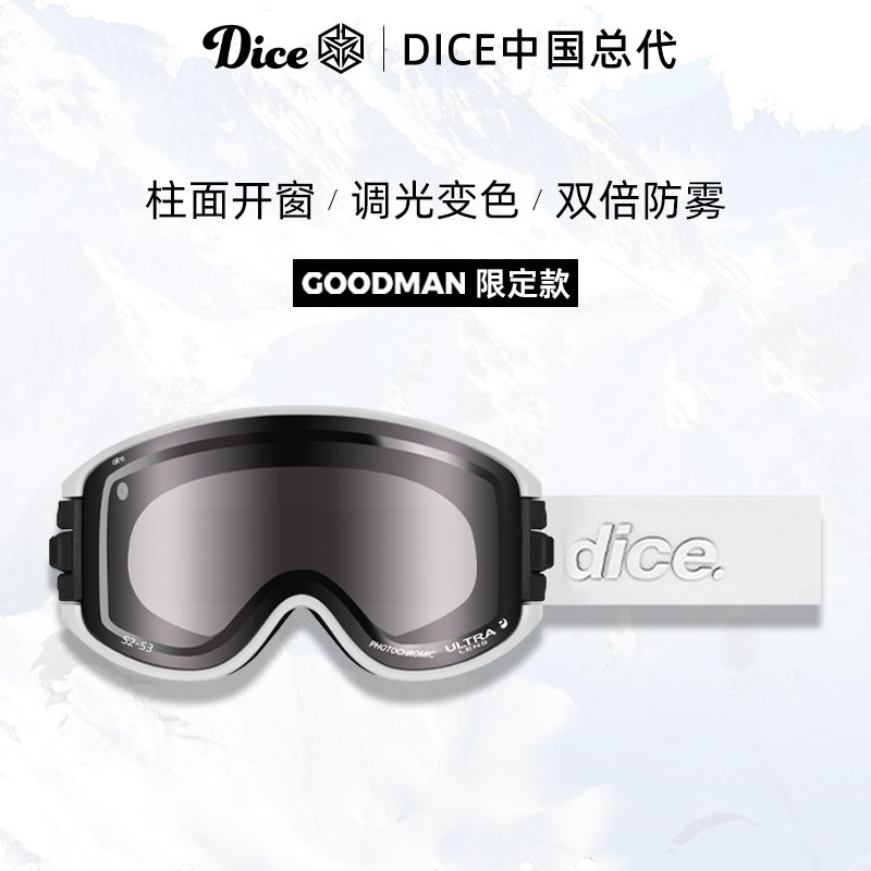 日本DICE柱面开窗超高清变色防雾